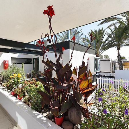 Maspalomas Beach Apartment Charca 1 外观 照片
